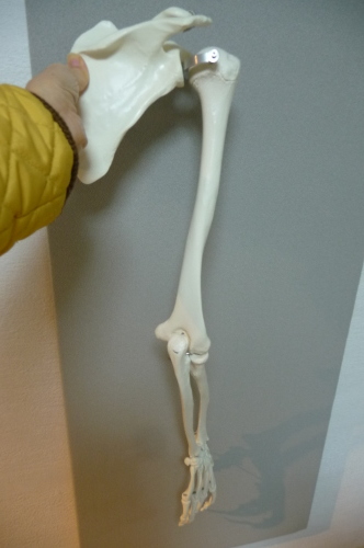 c0167359_22272009.jpg