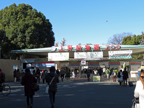 上野動物園で撮り納め_e0086860_17152910.jpg