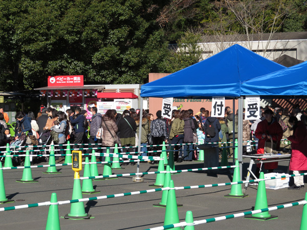 上野動物園で撮り納め_e0086860_17153569.jpg