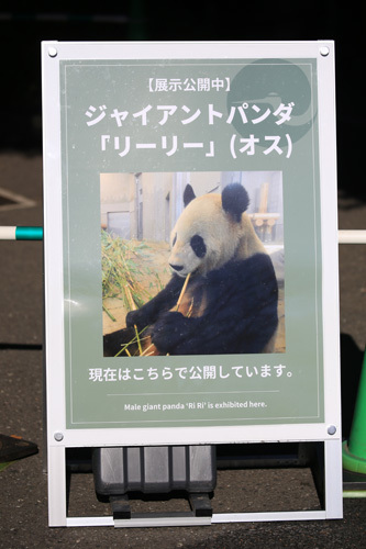 上野動物園で撮り納め_e0086860_17154814.jpg