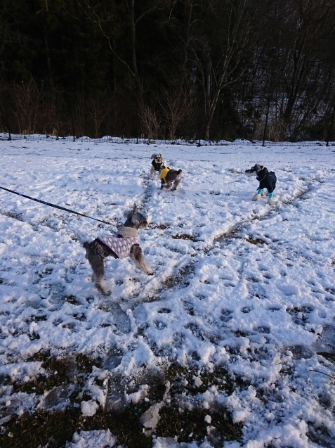 f0145575_21490603.jpg