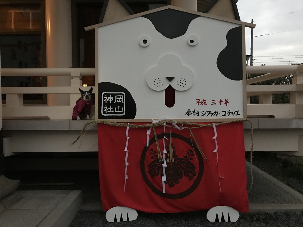 岡山神社の絵札飾り Nico O 笑顔 にこ 日記 岡山神社の絵札飾り Nico O 笑顔 にこ 日記