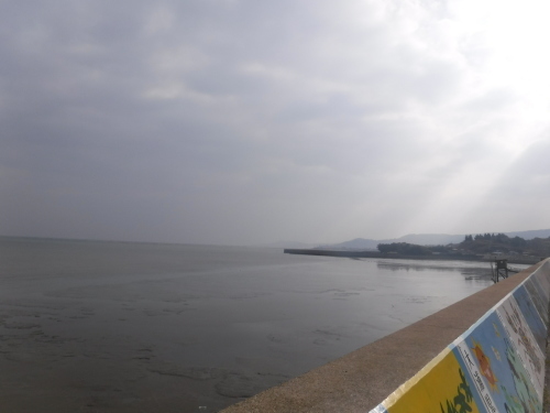 鹿島駅に生け込み_d0195183_22594121.jpeg