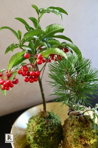 「お正月を迎えるお花」は30日までに飾りましょう!_c0128489_17253708.jpg