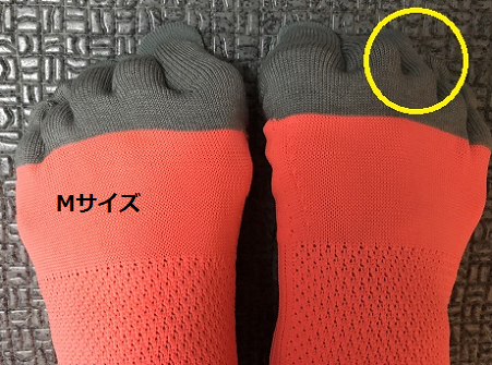 f0202990_23533854.png