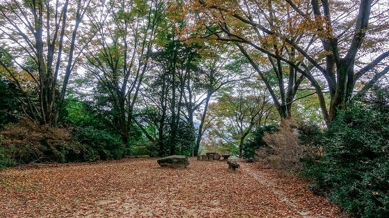 e0176993_07392347.jpg