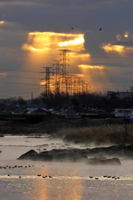 多摩川の霧と送電線_f0173596_11040369.jpg