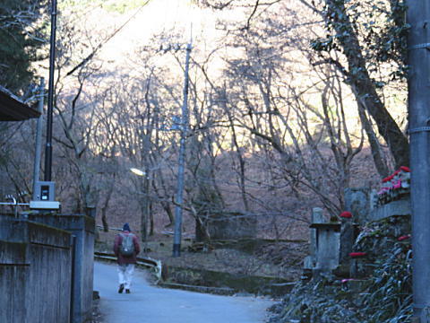 d0046702_10221759.jpg