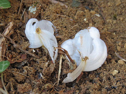 d0046702_10231446.jpg