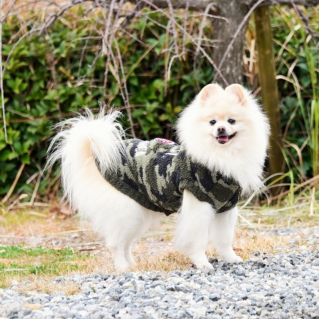 冬休みに何をする?_d0360206_00120969.jpg