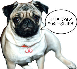 謹賀新年_a0246407_18082189.jpg