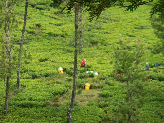 d0263607_17474692.jpg