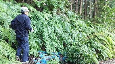 c0016208_17285330.jpg