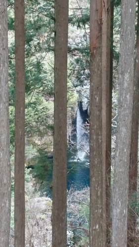 e0058913_13142192.jpg