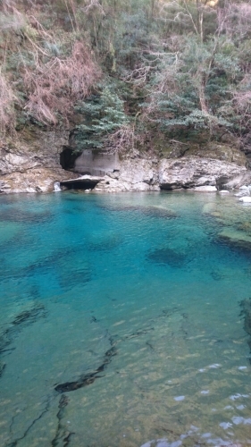 e0058913_14233992.jpg
