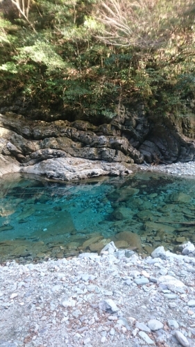 e0058913_15173157.jpg