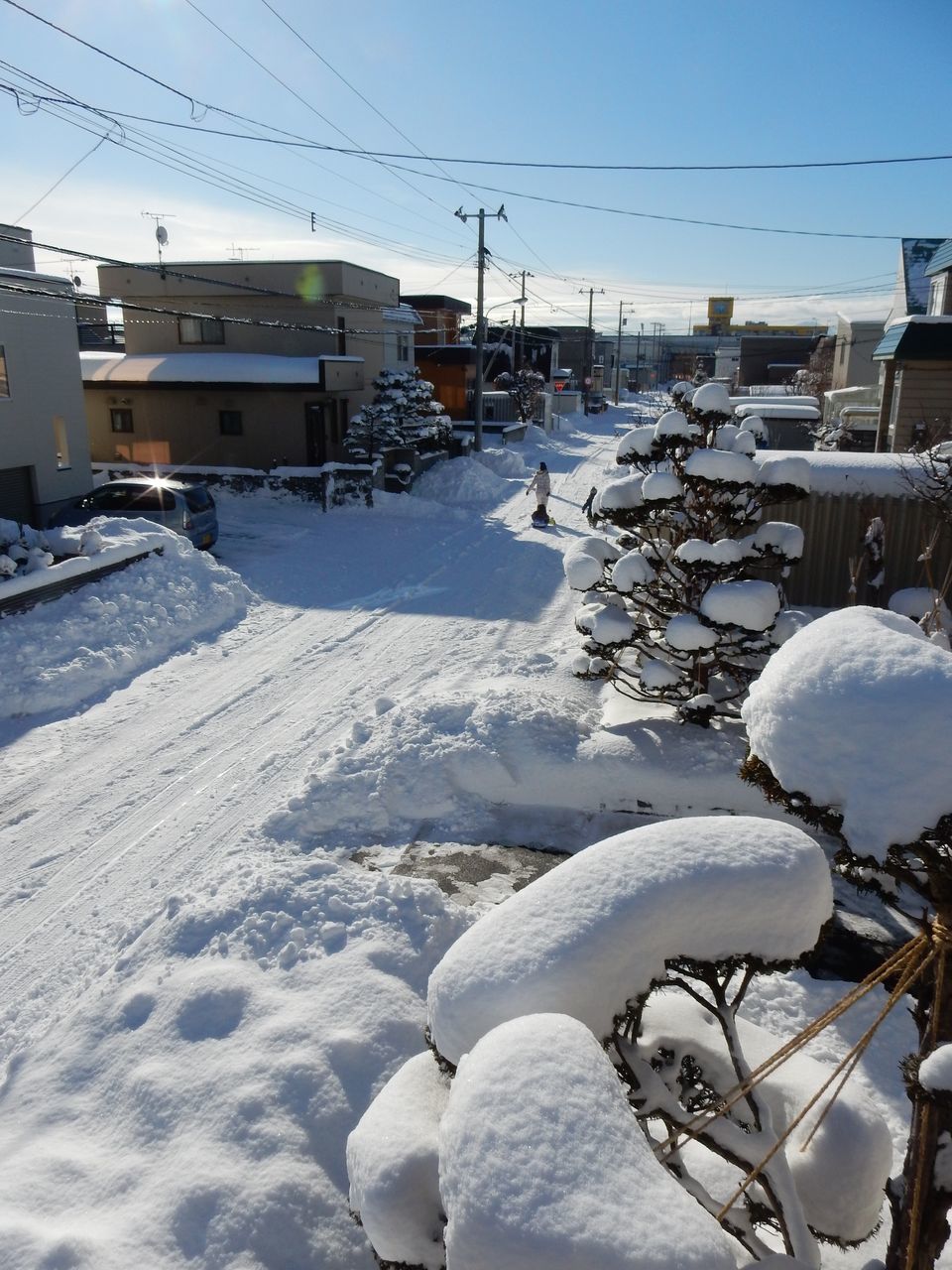 ようやく真冬日抜け_c0025115_21080071.jpg