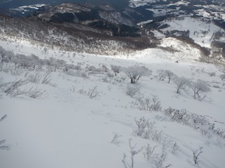 c0359615_20520794.jpg