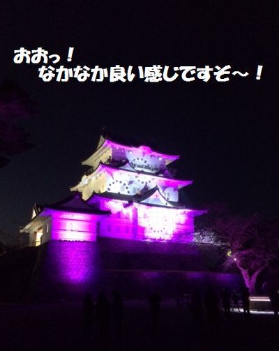 小田原城がライトアップしているよ_e0234016_17592759.jpg