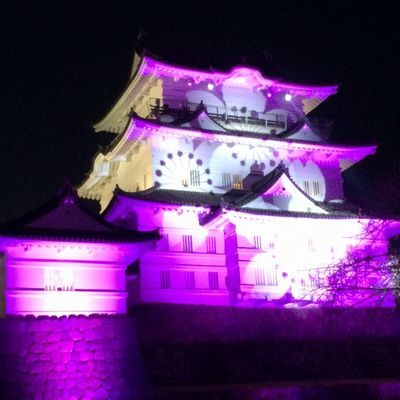 小田原城がライトアップしているよ_e0234016_18000236.jpg