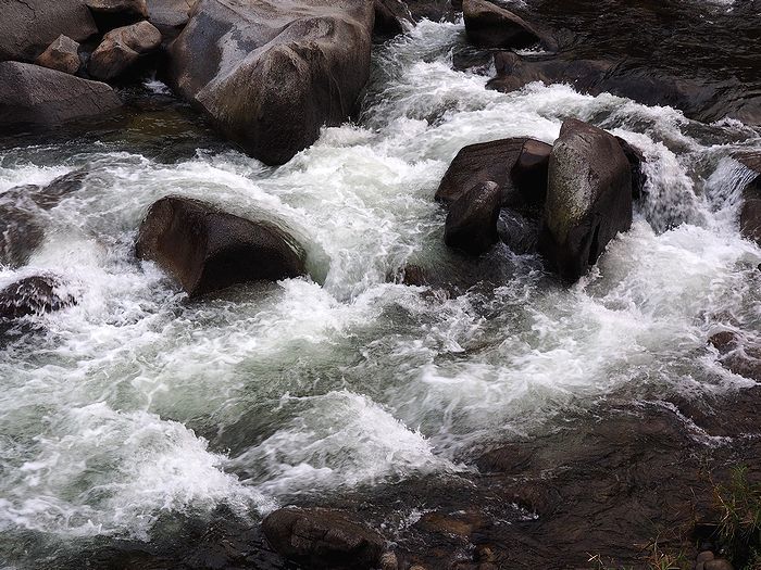 b0204819_11441159.jpg