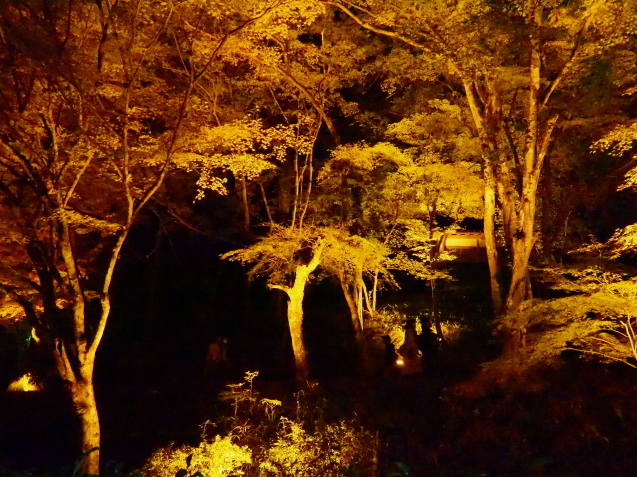 b0204819_14042342.jpg
