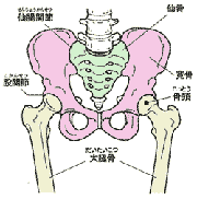 b0008825_18025575.png