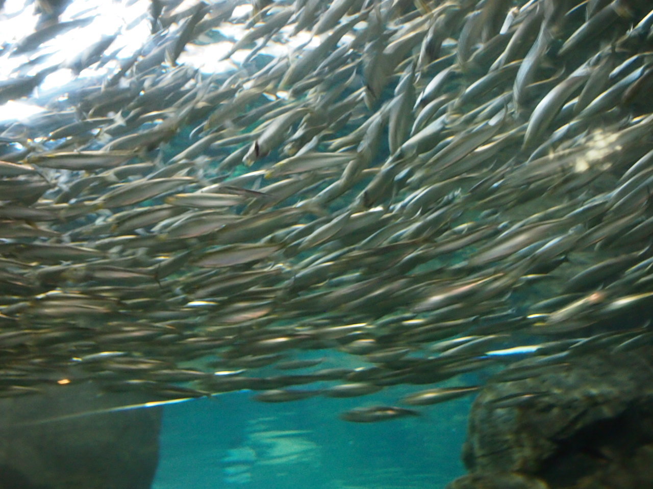 c0234728_12121452.jpg