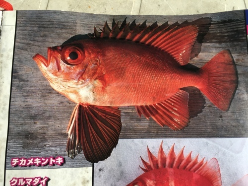 a0132631_19013857.jpeg