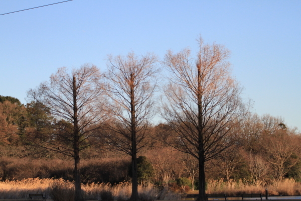 f0229832_22355424.jpg