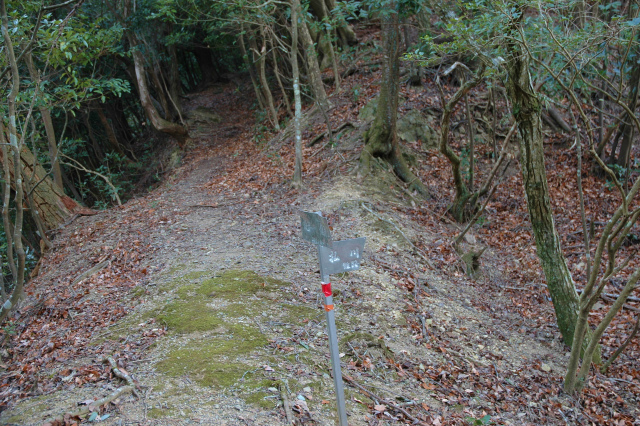 e0272335_19485280.jpg