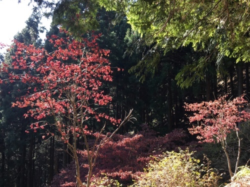 b0330040_23090672.jpeg