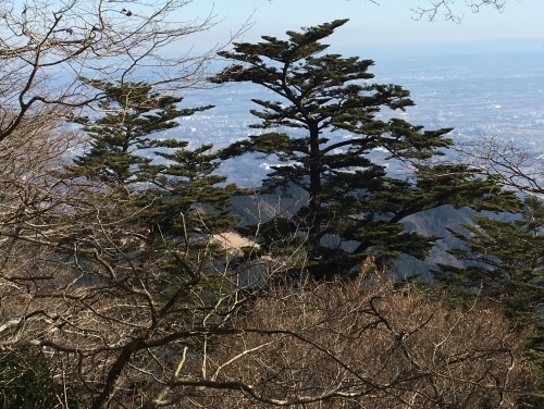 b0330040_23255892.jpeg