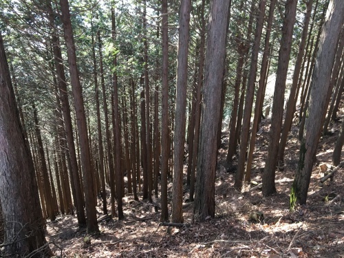 b0330040_23270137.jpeg