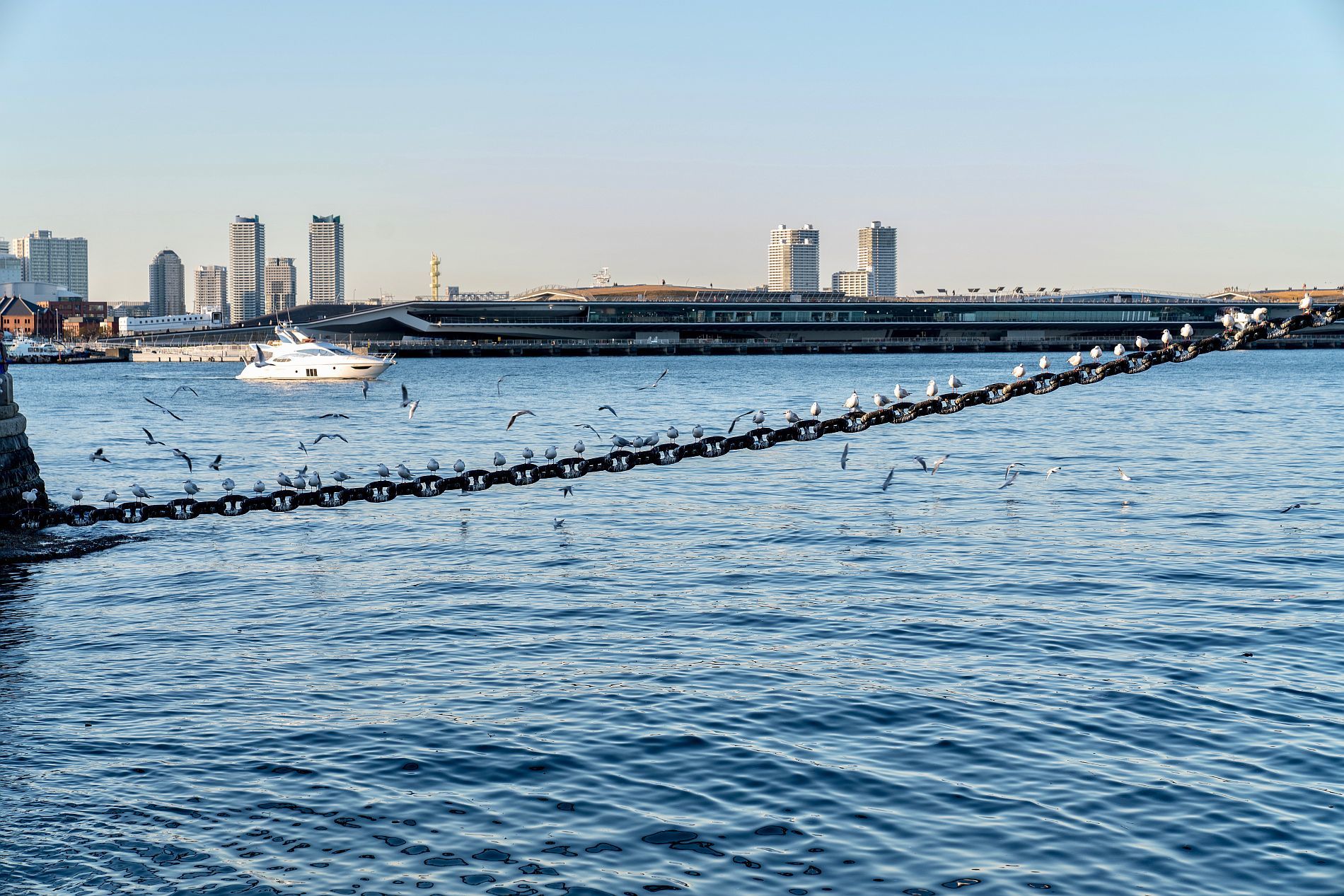 横浜 街角スナップ 山下公園周辺 2018.12.12_b0212342_13295667.jpg