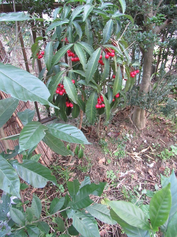 d0333943_06124341.jpg