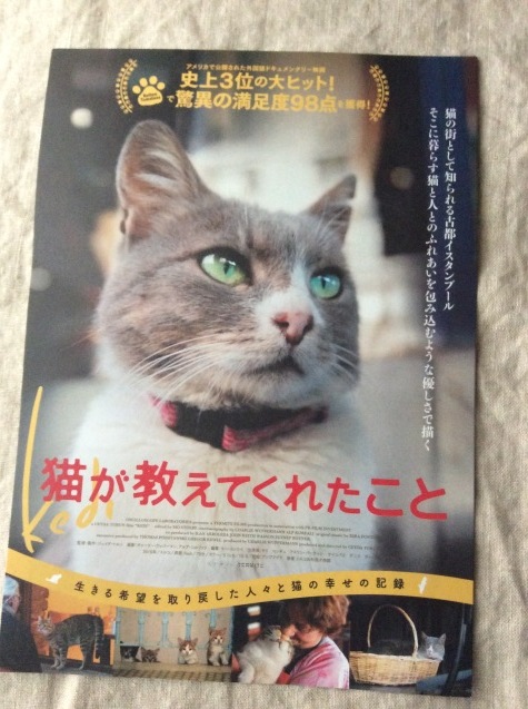 a0307846_16403313.jpeg