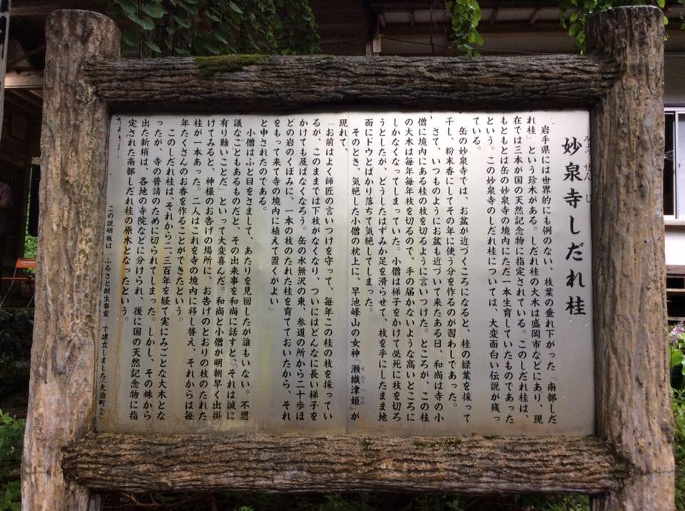f0389753_01422922.jpeg