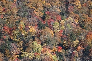 b0250154_17315019.jpg