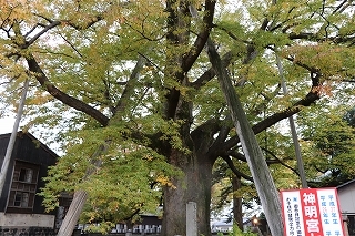 b0250154_17330577.jpg