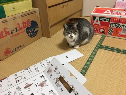 a0346455_12165560.jpeg