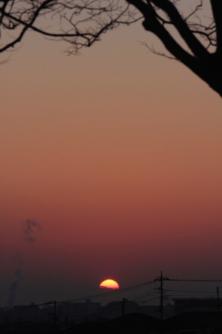 a0248459_20403886.jpg