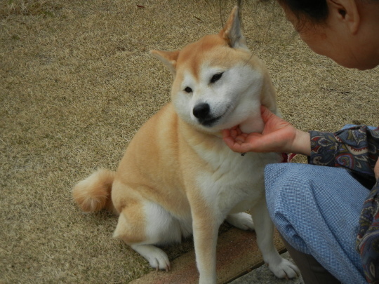 ’17,12,30(土)今年もあと1日です!_f0060461_15260403.jpg