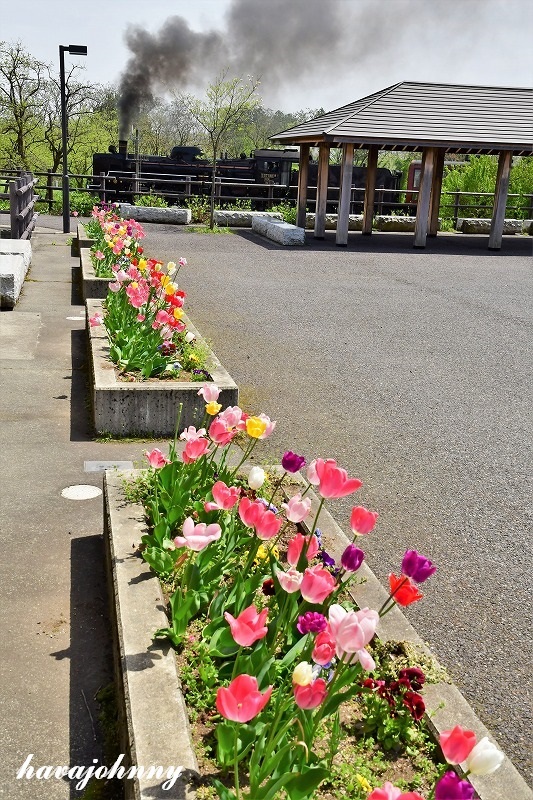 c0173762_11202979.jpg