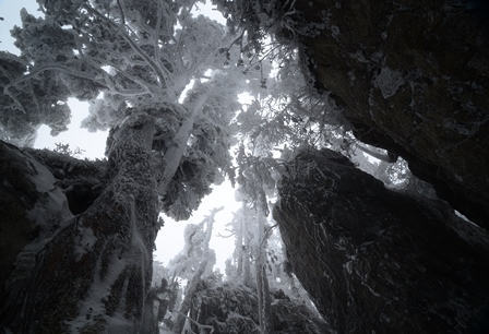 修験の山の樹氷_c0303868_17435123.jpg