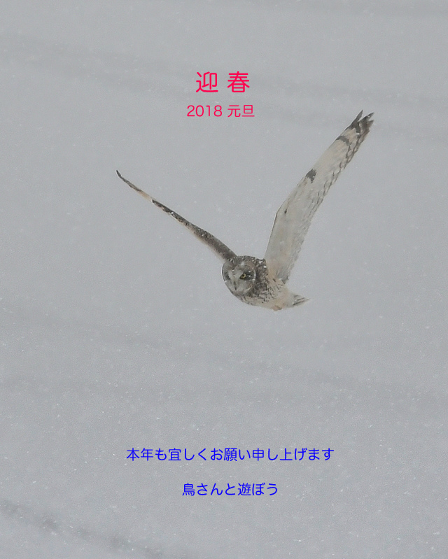 明けましておめでとうございます_f0053272_23115808.jpg