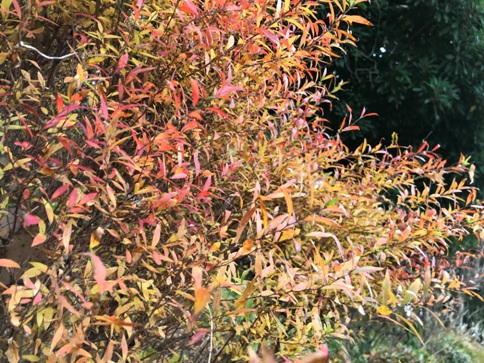 b0214473_2119748.jpg
