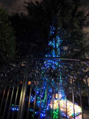 f0211178_17000150.jpg