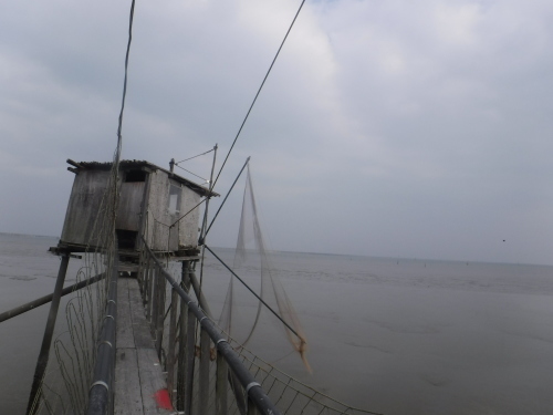 d0174683_18015189.jpeg