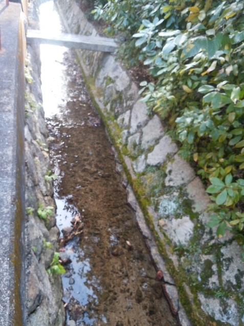 e0371086_18152042.jpg